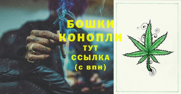 бошки Медногорск