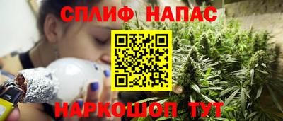 СК Будённовск