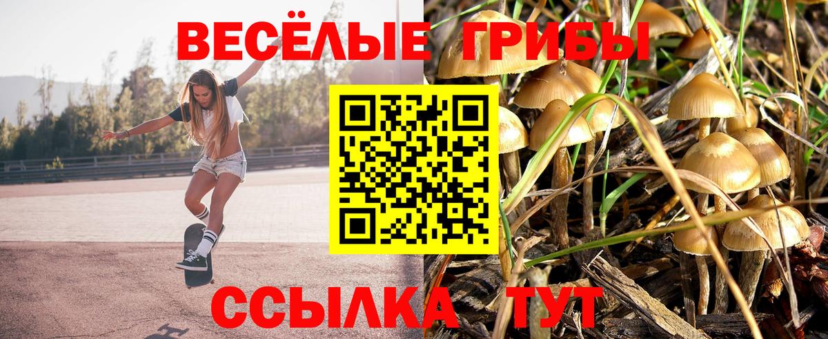 Галлюциногенные грибы MAGIC MUSHROOMS Донской