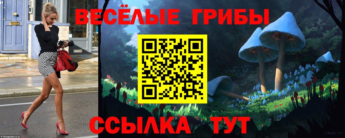 Псилоцибиновые грибы GOLDEN TEACHER  Донской 