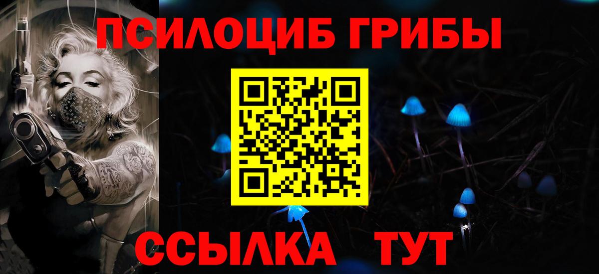 Псилоцибиновые грибы Cubensis  Вход с VPN  Донской 