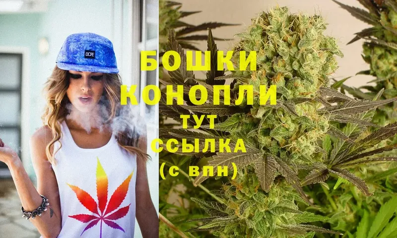 МАРИХУАНА OG Kush  Донской 